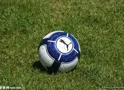 黄金组合,壹号鸽舍奶,倚天梅尔浪,易倍体育平台,易倍体育官方网站,易倍体育登录入口,易倍体育app下载