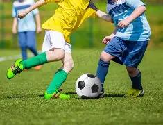 第九届亚冬,会开幕式亮,点频现,易倍体育平台,易倍体育官方网站,易倍体育登录入口,易倍体育app下载