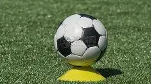 易倍体育 资讯 120757 903