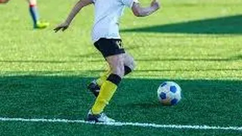 英伟达财报助力市场回暖，美国10月就业报告暂缓发布