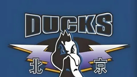 易倍体育，易倍体育官网， 061640 2